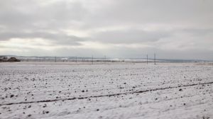 На Полтавщині агрономи в очікуванні ранньої весни