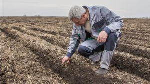 Агроном — одна з найзатребуваніших професій в Україні