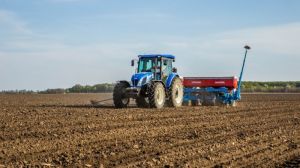 В Україні кукурудзою засіяли 4,4 млн га або 99% прогнозованих площ