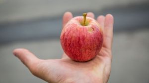 На Херсонщині урожай фруктів буде менший на 40%