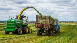 Чернігівські аграрії активно заготовляють корми, жнива обіцяють розпочати у другій декаді липня