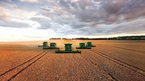 Українські аграрії зібрали перші 2,5 тисячі тонн зернових нового врожаю