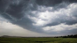Буря на Тернопільщині: у якому стані посіви після негоди?
