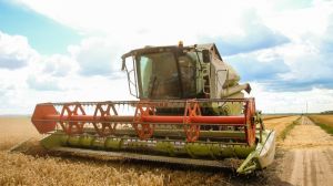 У Криму намолотили перші півмільйона тонн зерна нового урожаю