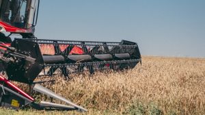 Господарства Одещини зібрали близько 1 млн тонн зерна нового урожаю