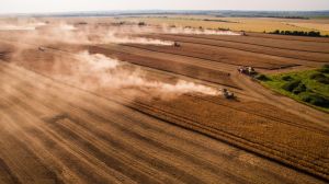 Три райони Запорізької області завершують жнива ранніх зернових