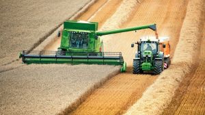 Лише за три дні серпня господарствам Сумщини вдалося намолотити 165 тис. тонн зерна