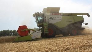 Урожайність озимої пшениці на полях РОСТОК-ХОЛДИНГ досягла історичного максимуму