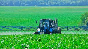 Через недопуск нових ЗЗР українські аграрії ризикують втратити ключові ринки збуту сільгосппродукції