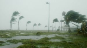 Ураган Ірма залишив жителів США без урожаю овочів та фруктів