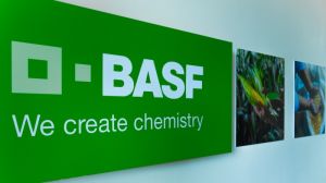 Компанії BASF оголошує набір на стажування з подальшим працевлаштуванням