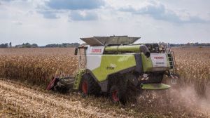 Зернові та зернобобові у Сумській області зібрано з 50% площ