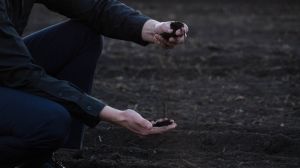 Деградація українських ґрунтів призводить до втрати 20 млрд грн щороку
