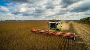 Сумські аграрії намолотили 3 мільйони тонн зерна