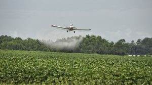 Євросоюз підвищує вимоги до пестицидів