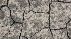 Через посуху Іспанія втратила 70% урожаю зерна