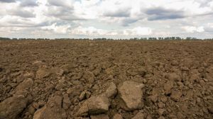 Деградація ґрунтів є серйозною проблемою для України
