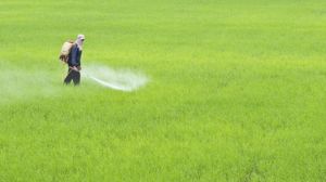 17 країн підписали заяву про безпечне використання пестицидів
