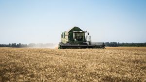 Аграрії Житомирщини збільшили обсяги виробництва зерна