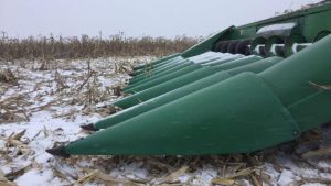 Тамбовські аграрії ведуть збирання кукурудзи в 10-градусний мороз