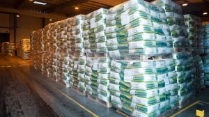 Євраліс Семенс Україна проводить акцію на насіння кукурудзи для аграріїв