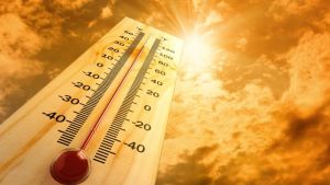 У разі подальшого підвищення температури може зникнути Полісся — Гідрометцентр