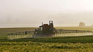 ФАО боротиметься з вітчизняним ринком контрафактних пестицидів