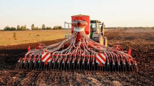 В Україні стартувала посівна кампанія: засіяно близько 5 тисяч гектарів