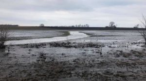 Через інтенсивне танення снігів, поля на Полтавщині перетворились у річки