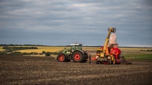Посівна ранніх зернових на Миколаївщині добігає кінця