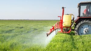Буковинських аграріїв звинуватили в отруєнні людей пестицидами