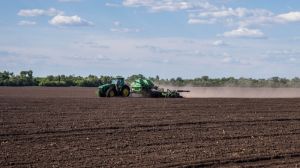 Ранніми зерновими у Білорусі засіяно понад 70% площ