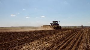 Ярими культурами на Запоріжжі засіяно понад півмільйона гектарів, посівна ранніх зернових добігає кінця