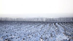 Снігопади перешкоджають початку посівної на Алтаї