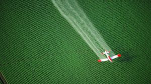 Швейцарія проведе референдум щодо повної заборони синтетичних пестицидів
