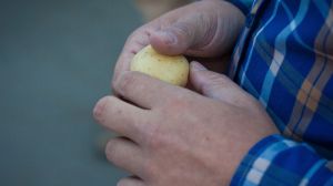 На Волині створять перший кооператив виробників картоплі