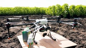 Експерти перевірили ефективність інсектицидної обробки соняшнику за допомогою дрона