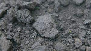 Вітчизняні ґрунти потребують розкислення — НААН