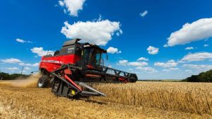 Темпи жнив ранніх зернових випереджають минулорічні на 76%