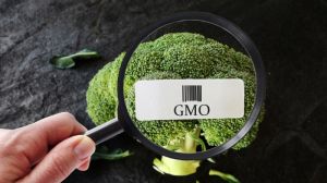 Нобелівський лауреат закликає до впровадження освітньої кампанії захисту ГМО