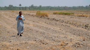 Через посуху в Іраку заборонили вирощувати рис та кукурудзу