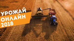 В Україні розпочато жнива жита та вівса — «Урожай Онлайн 2018»