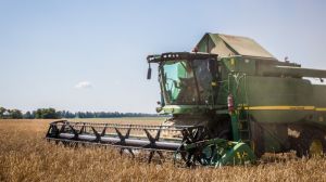 На Сумщині зібрано перші півмільйона тонн зерна нового врожаю