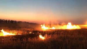 Аграріїв попереджають про найвищий рівень пожежної небезпеки у полях