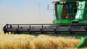 Аграріями зібрано дві третини врожаю зернових