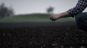 Земельні ресурси України перебувають в критичному стані — НААН