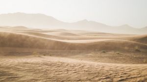 Вчені знайшли спосіб як відновити землеробство в найбільшій пустелі світу