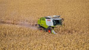 Чорноморському регіону пророкують рекордні врожаї кукурудзи