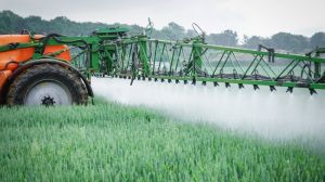 Франція намагається поетапно відмовитись від використання пестицидів