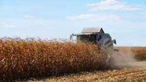 По завершенню осені валовий збір зерна в Україні перевищив 68 млн тонн